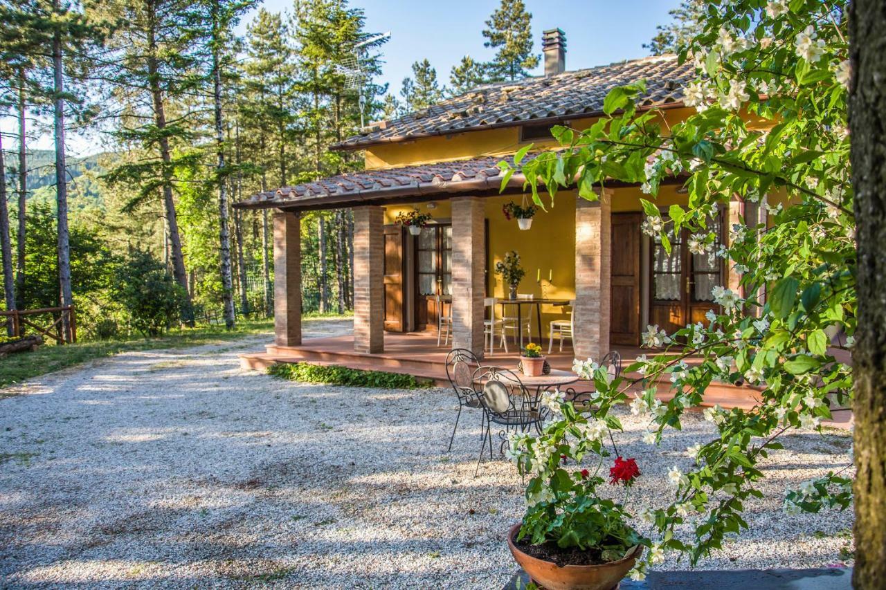 Il Ginepro Villa กอร์โตนา ภายนอก รูปภาพ