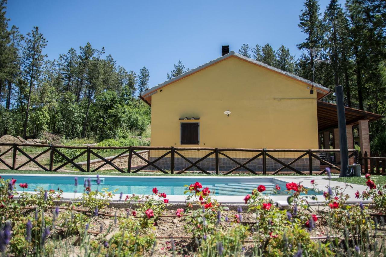 Il Ginepro Villa กอร์โตนา ภายนอก รูปภาพ