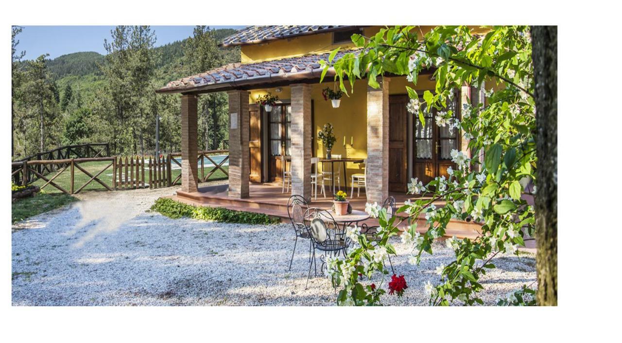 Il Ginepro Villa กอร์โตนา ภายนอก รูปภาพ